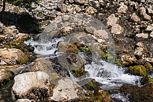 Close up of a Krupa river near its karst spring