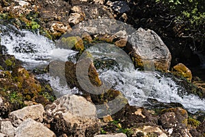 Close up of a Krupa river near its karst spring