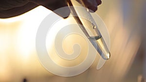 A close-up of a laboratory glass pipette with litmus paperin the test tubes on a light background