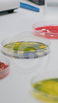 Close up of laboratory petri dish with biological liquid photo