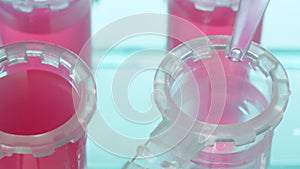 Close up of laboratory worker filling and preparing samples for testing in vial.