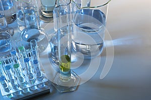 Close up of labware such as beaker, flask, graduated cylinders and test tubes well placed