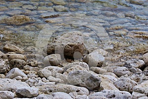 Close up of the lakebed and rocky shoreline of Lake Michigan in Door County, Wisconsin