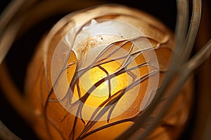 a close up of a lamp with a light bulb inside