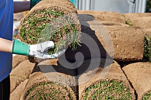 Close Up Of Landscape Gardener Laying Turf For New Lawn