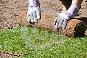 Close Up Of Landscape Gardener Laying Turf For New Lawn