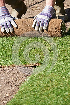 Close Up Of Landscape Gardener Laying Turf For New Lawn
