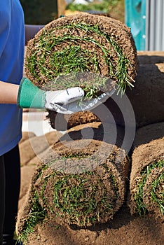 Close Up Of Landscape Gardener Laying Turf For New Lawn