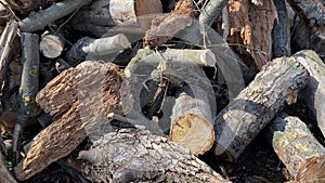 Close-up of a large pile of felled trees in the forest