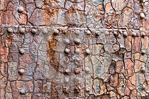 Close up of large steal door at a dry dock in Northern Ireland