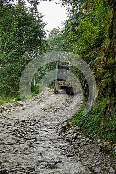 CLOSE UP: Large truck drives along the muddy road leading through a wild forest