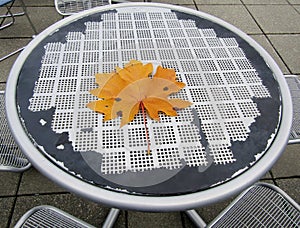 Close up of large yellow autumn maple leaf on round metal table