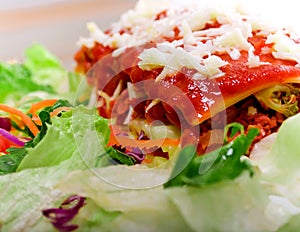 Close up of Lasagana with salad photo