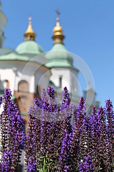 Close-up of lavender with opulent church dome in the backdrop