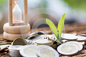 Close up Leaf on coins of growth or investment to profit finance.