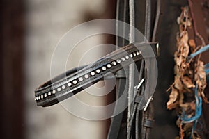 Close up of leather horse bridle