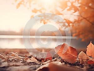 A close up of leaves on the ground