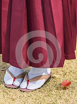 Woman in hakama kimono with geta shoes on the grass in autumn. photo