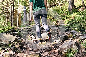 Close-up Legs In sport trekking shoes on green grass and rocky stones with moss of mountain autumn forest. Woman climbs