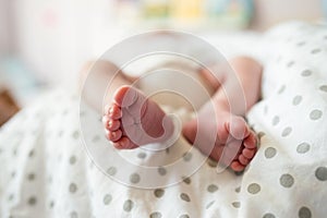 Close up, legs of unrecognizable newborn baby boy