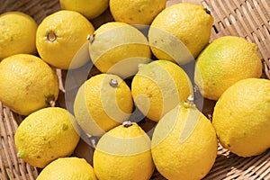 Close up of lemons setting in basket in natural light scene / food material / food background / raw material / food photography