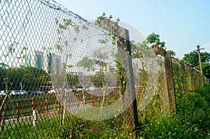 Close-up lens of protective wire mesh