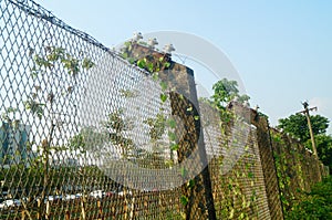 Close-up lens of protective wire mesh