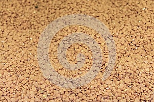 Close up lentils in bulk