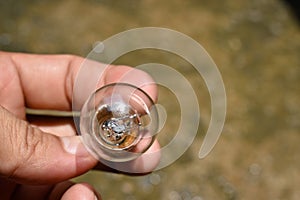 Close up of light bulb on the hands