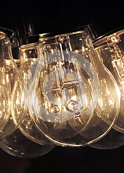 Close up of light bulbs