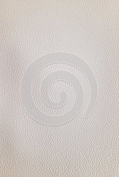 A close-up of a light, off-white leather background with a visible grain texture.