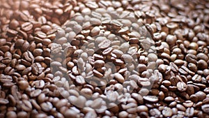 Close-up of light roasted organic coffee beans. They have a strong aromatic scent