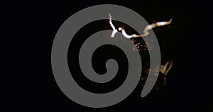 Close-up of a lightbulb on a black background.