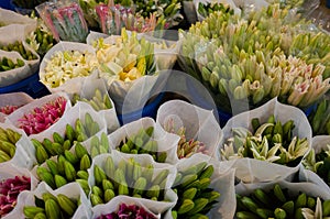 Close up of lily flowers ,at flower market, Chengdu.