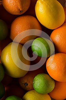 Close-up of limes, lemons and oranges