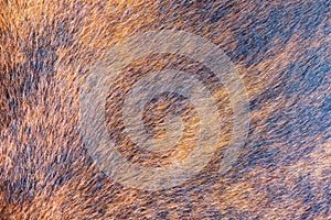 Close up line brown wool texture background