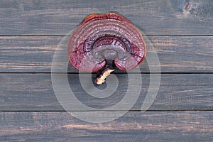 Close up of Ling zhi mushroom on wood table