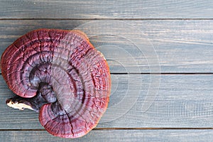 Close up of Ling zhi mushroom on wood table