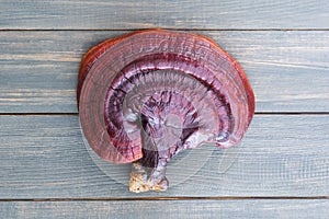 Close up of Ling zhi mushroom on wood table