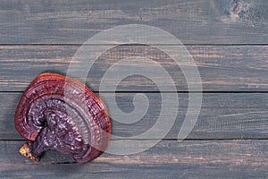 Close up of Ling zhi mushroom on wood table