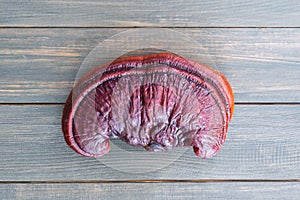 Close up of Ling zhi mushroom on wood table