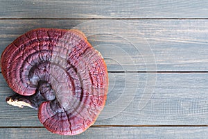 Close up of Ling zhi mushroom on wood table photo