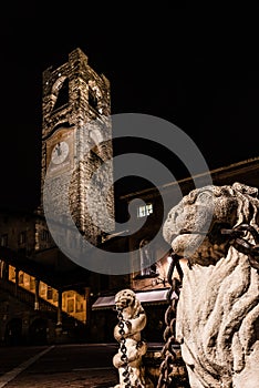 Close up of the lion of the Contarini fountain