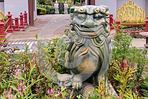 Close up of a lion statue in a park. Mythical creatures concept