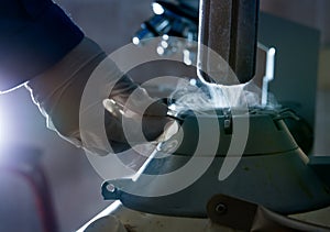 Frozen bovine semen in liquid nitrogen tank photo