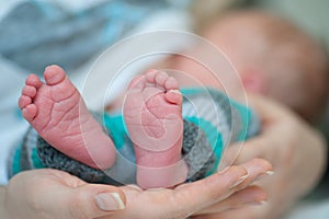 Close up of Little baby feet with mother hand