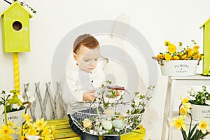 Close up little boy with Easter basket seating on yellow bench
