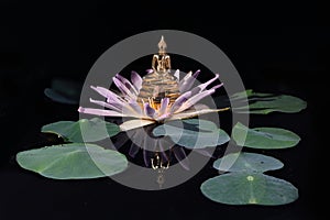 Close-up of a little Buddha statue sitting on a pink lotus flower in the pond