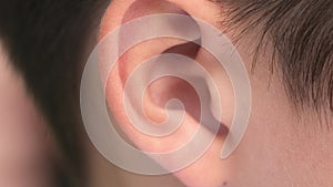 Close up of a little child ear. Natural light