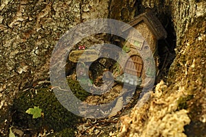 Close up of little house in tree trunk in wild moss and bark.